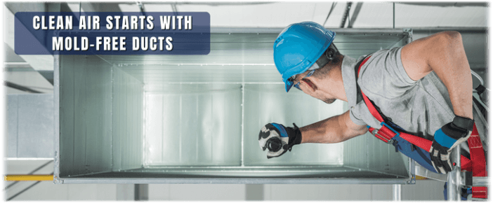 Air Duct Mold Removal in Niles IL