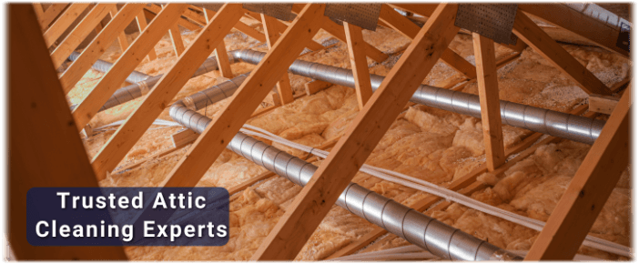Attic Cleaning Niles IL