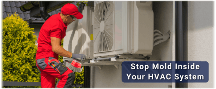 HVAC Mold Removal Niles IL
